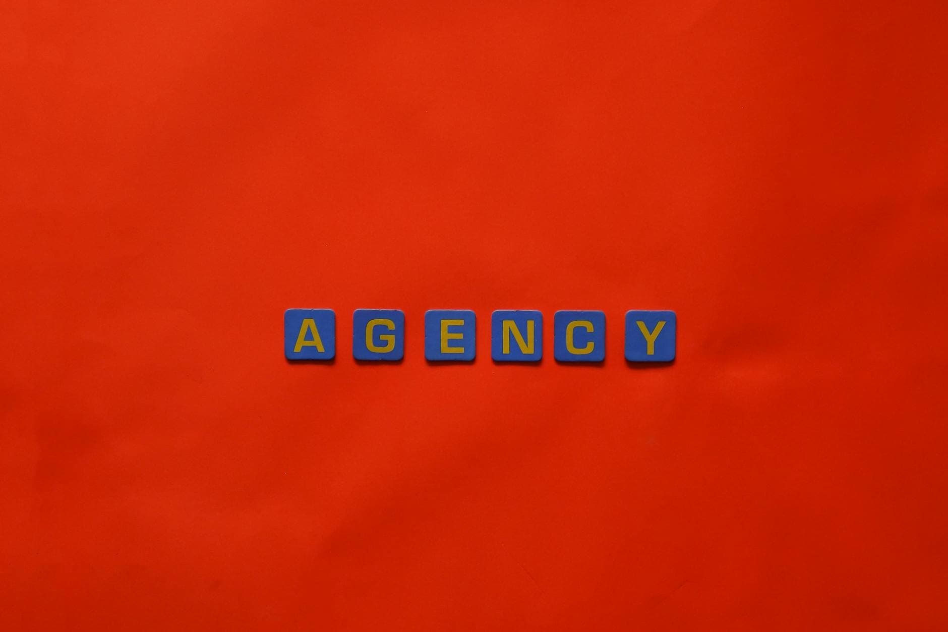 ICAEW qualified accountant reviewing share structure documents with agency founder in a modern London office meeting room